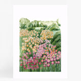 Flower Fields