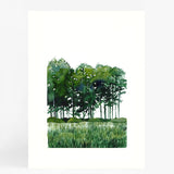 Forest II