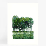 Forest Pair