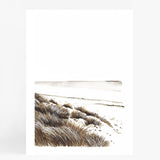 Beachgrass II