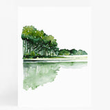 Forest Reflections I