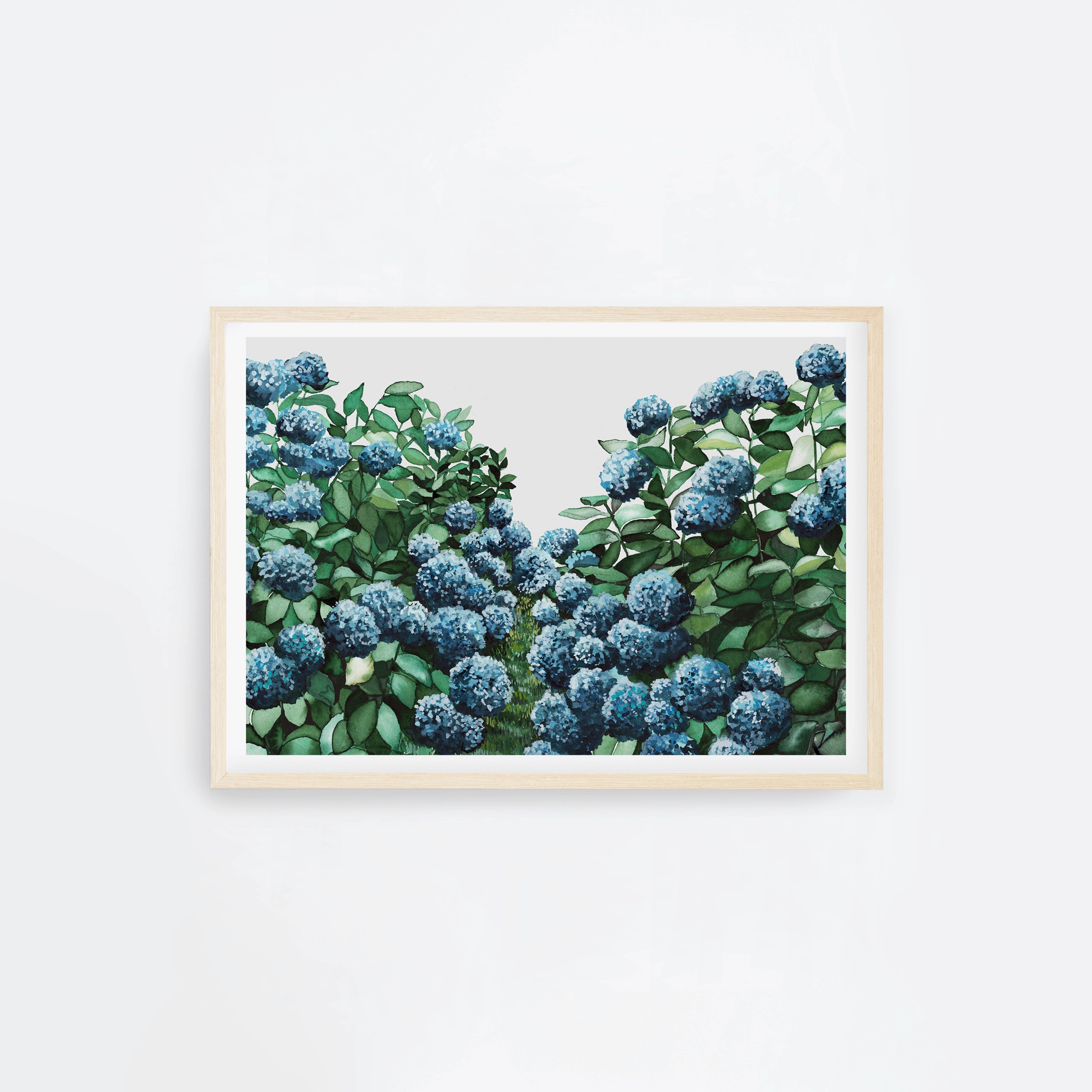 Hydrangea Landscape