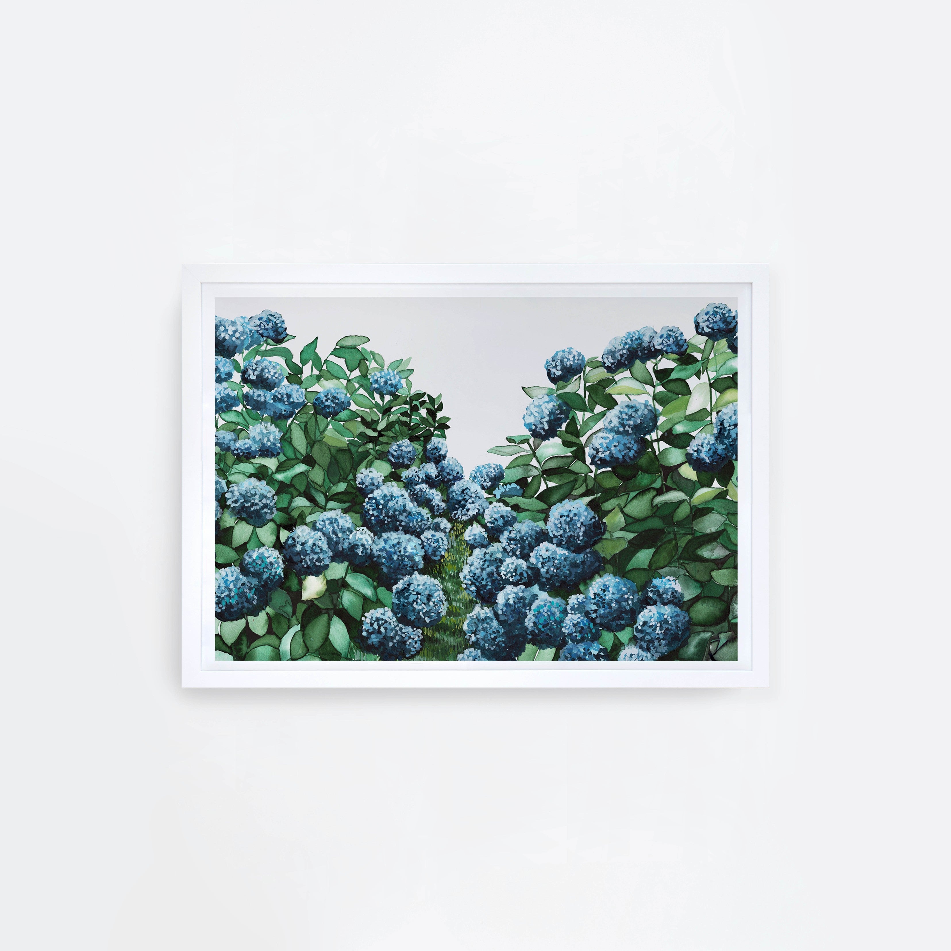 Hydrangea Landscape