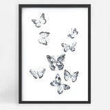 Butterflies