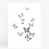 Butterflies