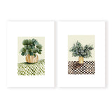 Chex Pair