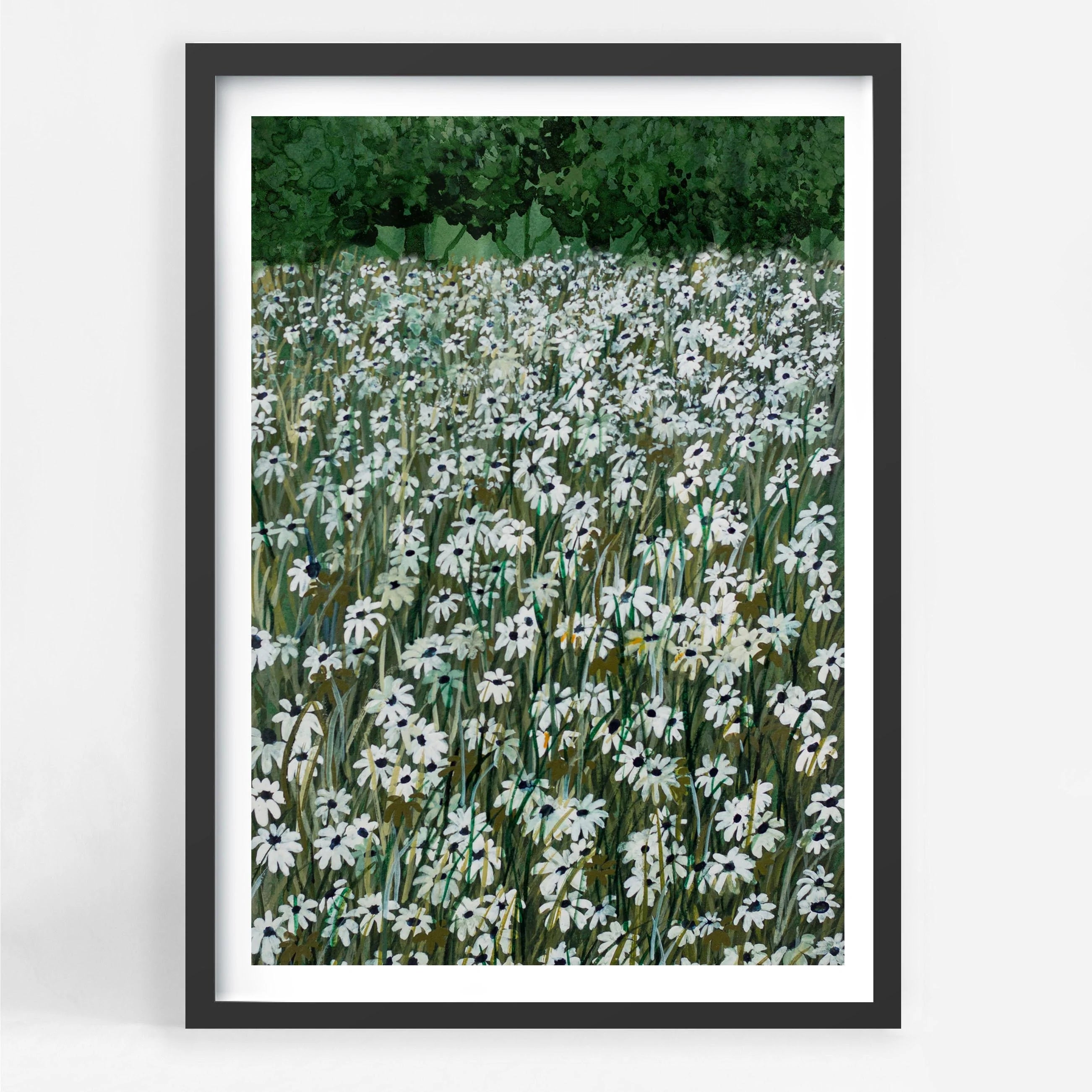 Daisy Meadow II