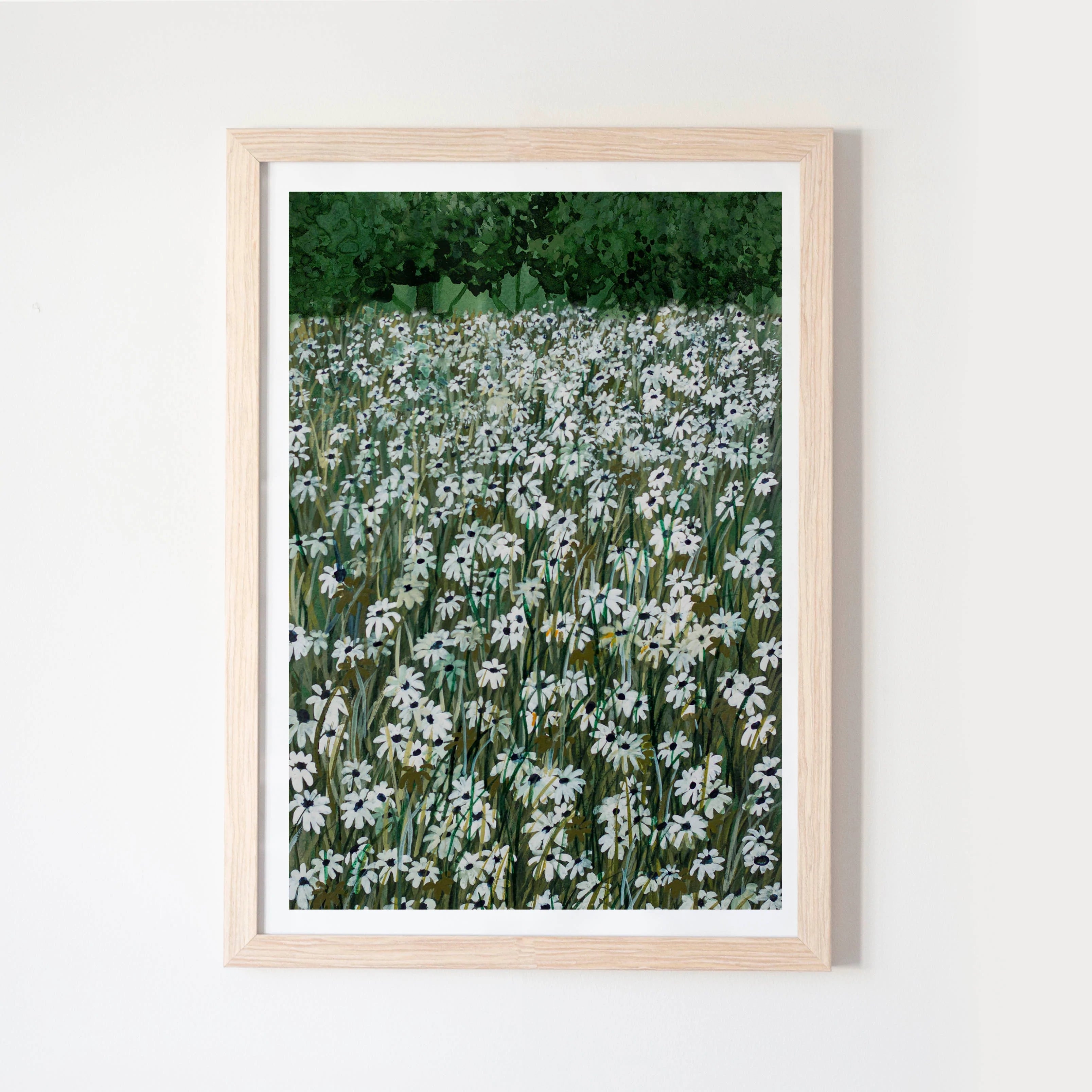Daisy Meadow II