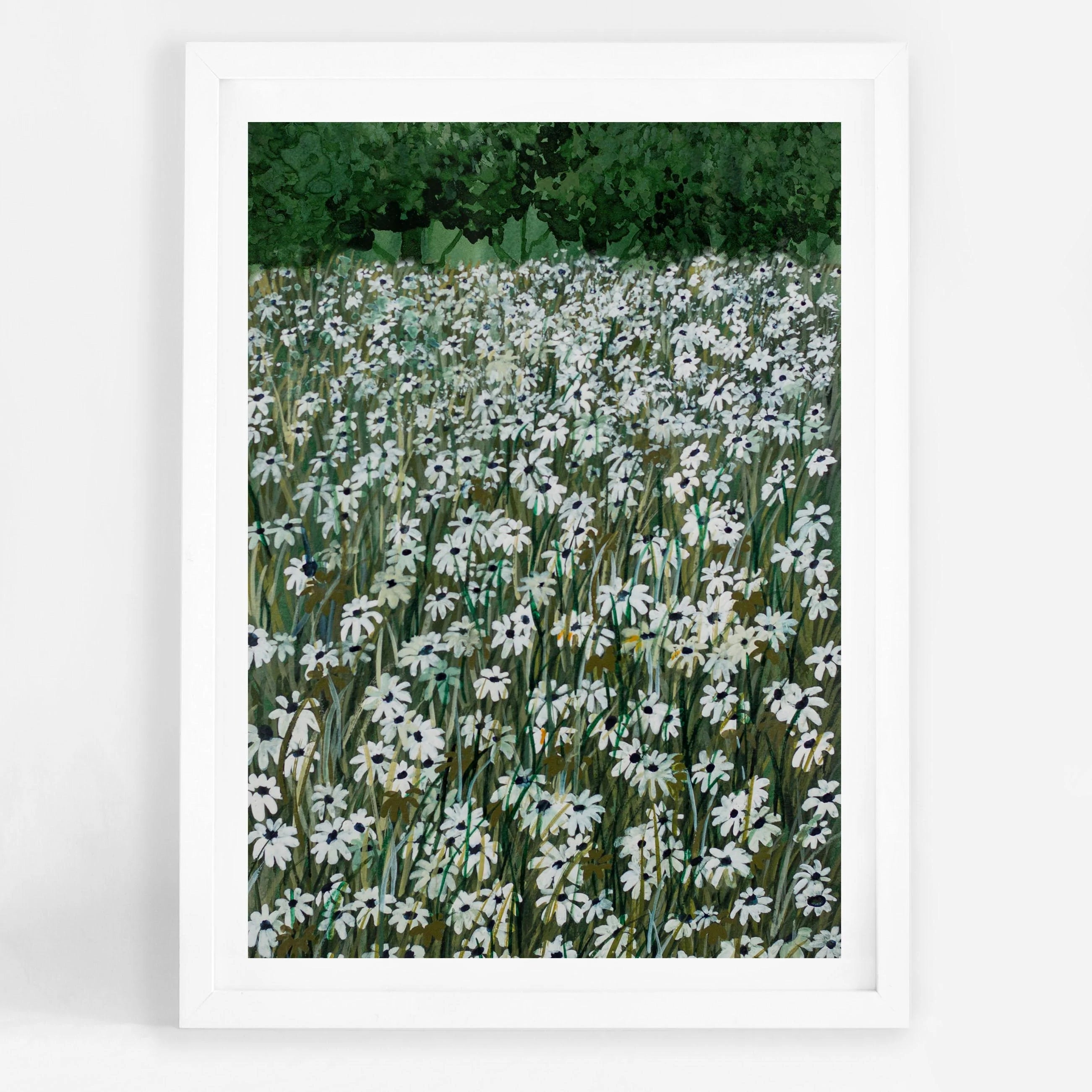 Daisy Meadow II