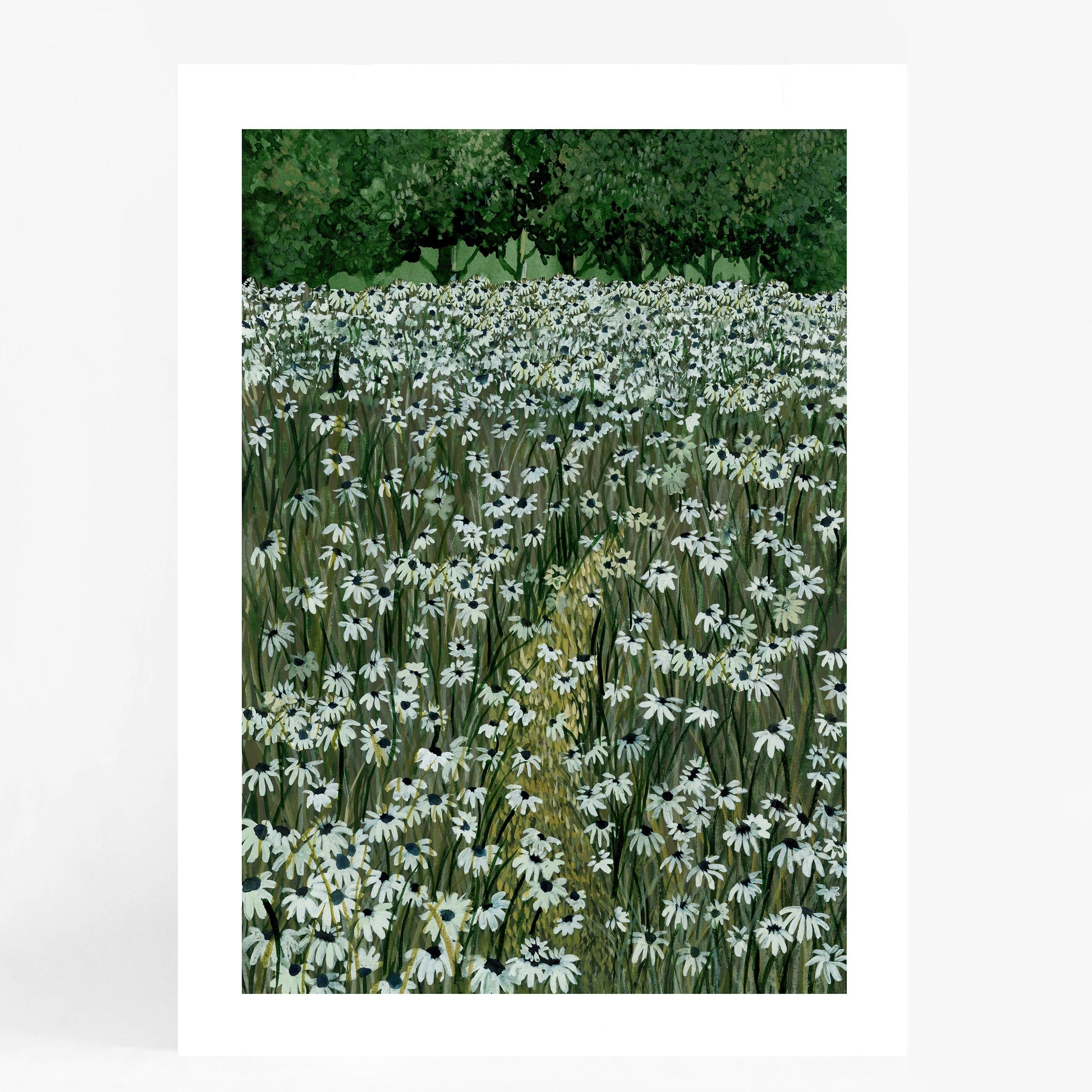 Daisy Meadow