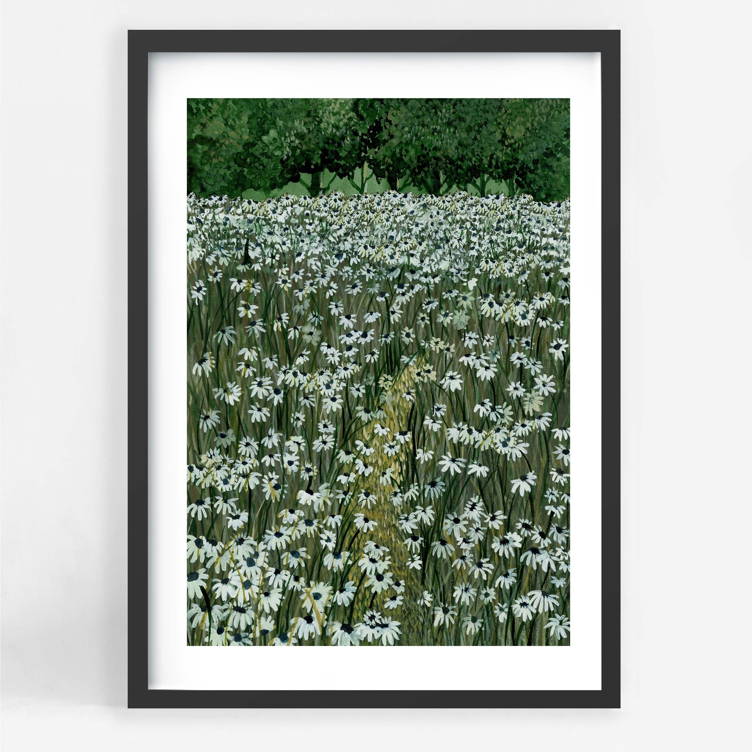 Daisy Meadow