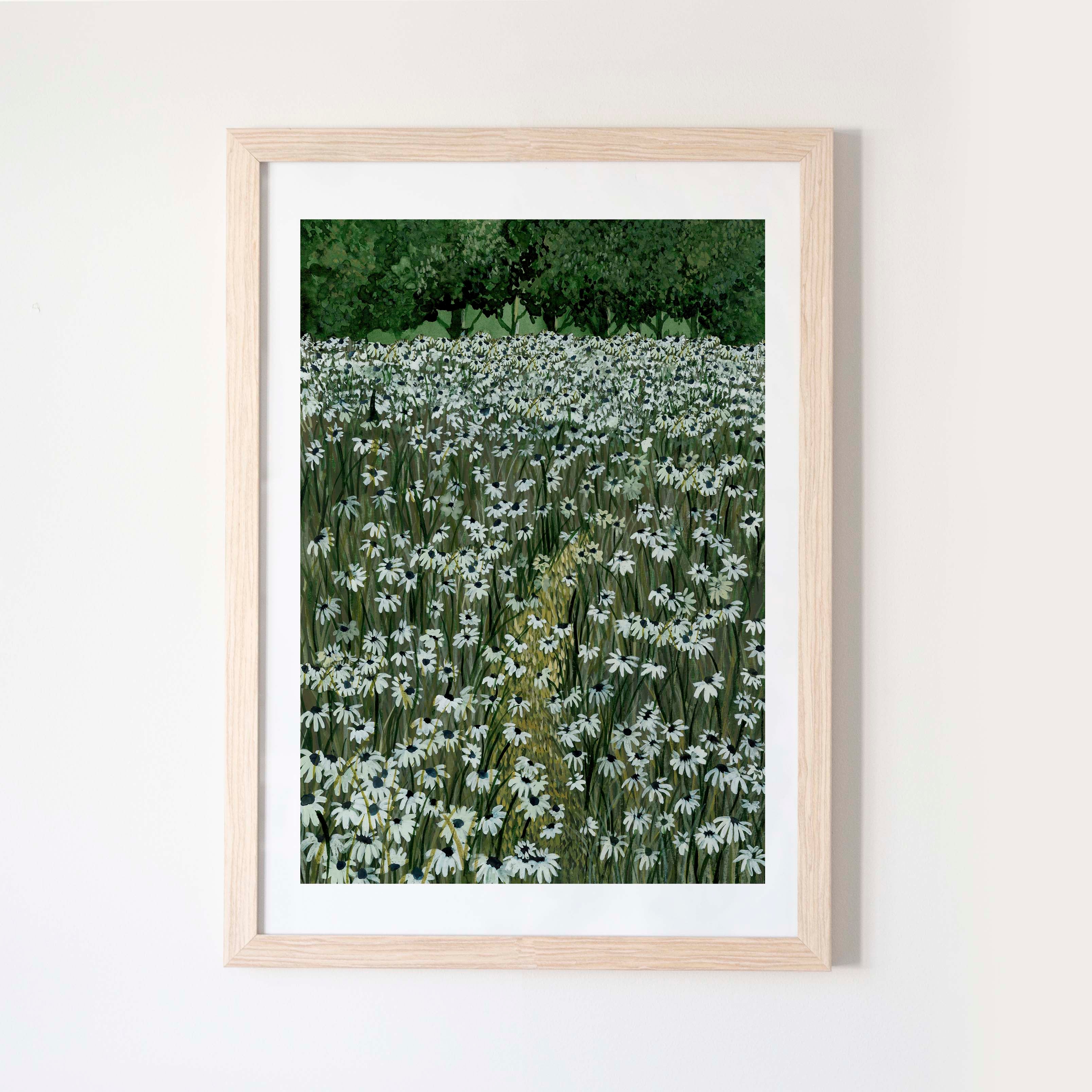 Daisy Meadow