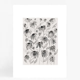 Daisy Pair