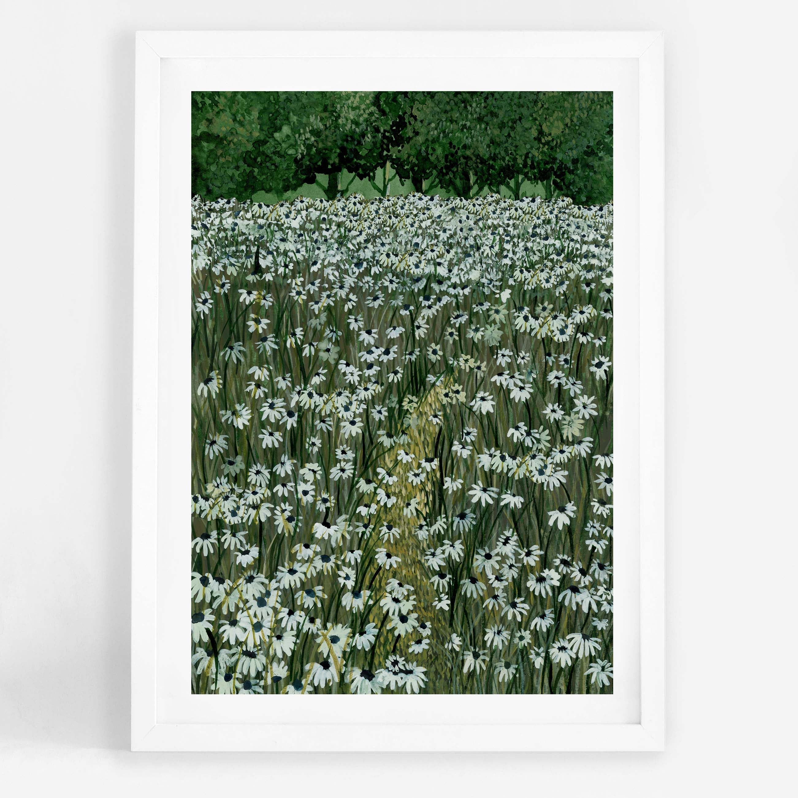 Daisy Meadow