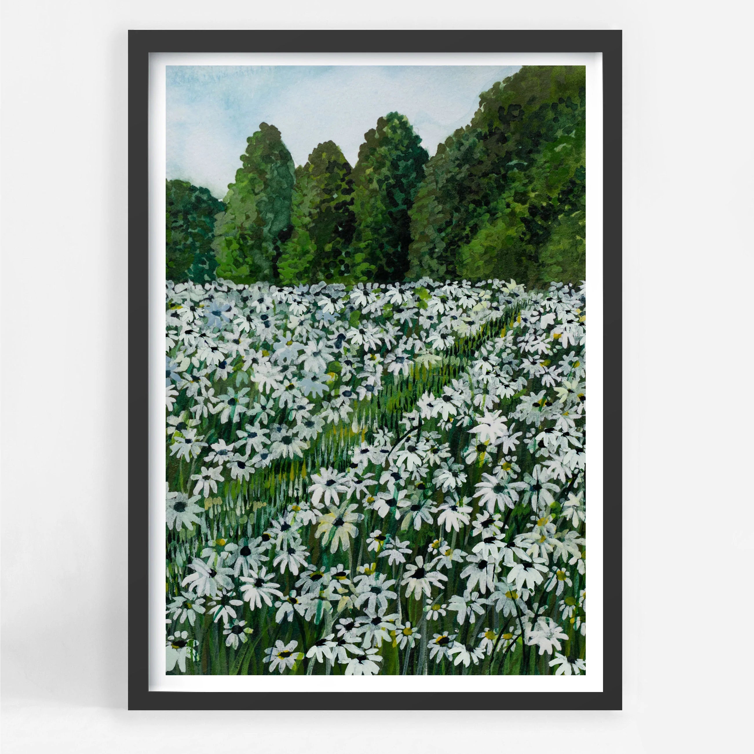 Daisy Fields II
