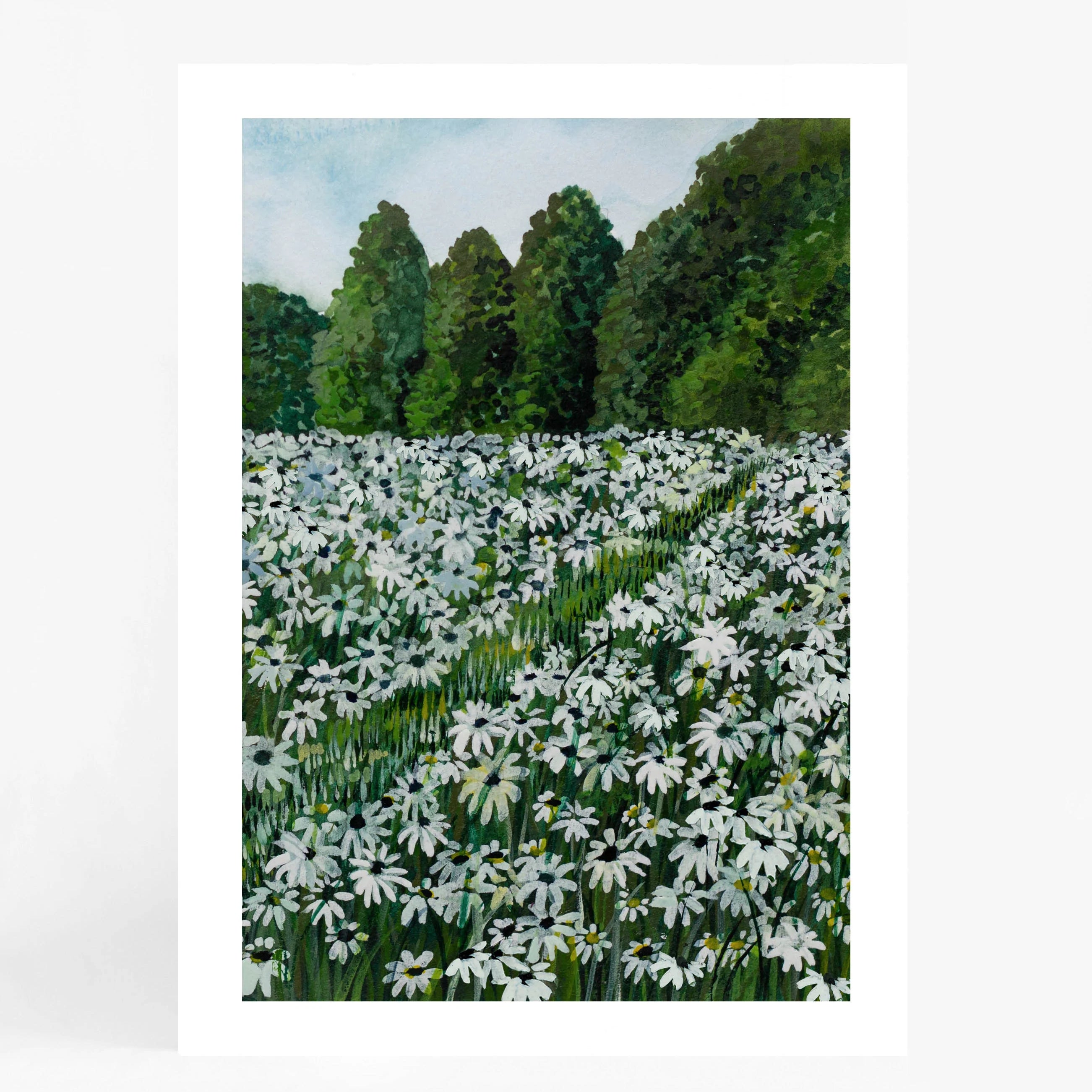 Daisy Fields II