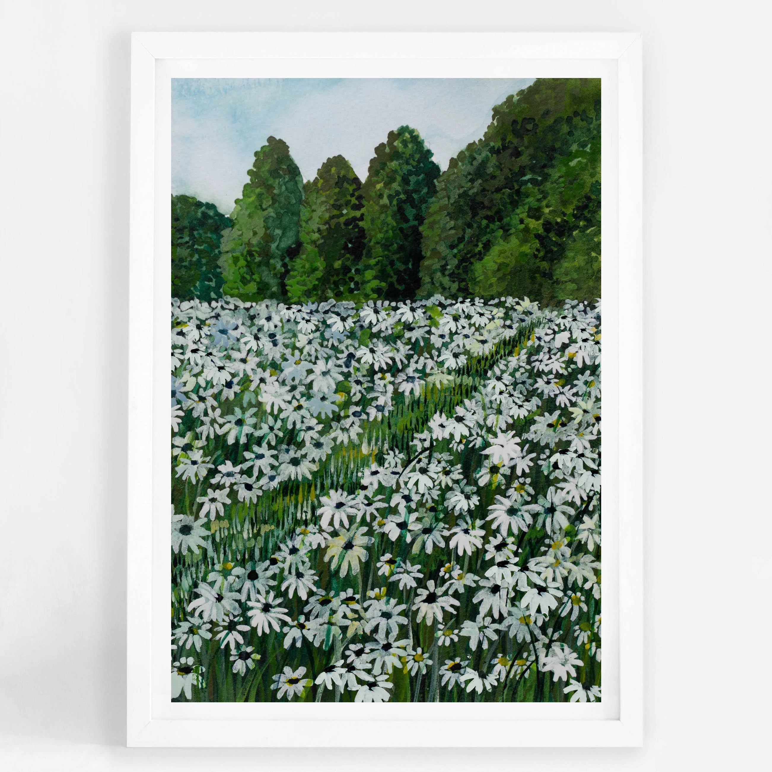 Daisy Fields II