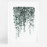 Falling Leaves