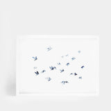 Flock