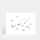 Flock