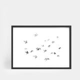 Flock