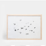 Flock