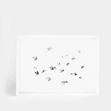 Flock