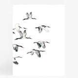Bird Flock Pair