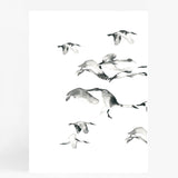 Bird Flock Pair