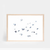 Flock