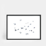 Flock