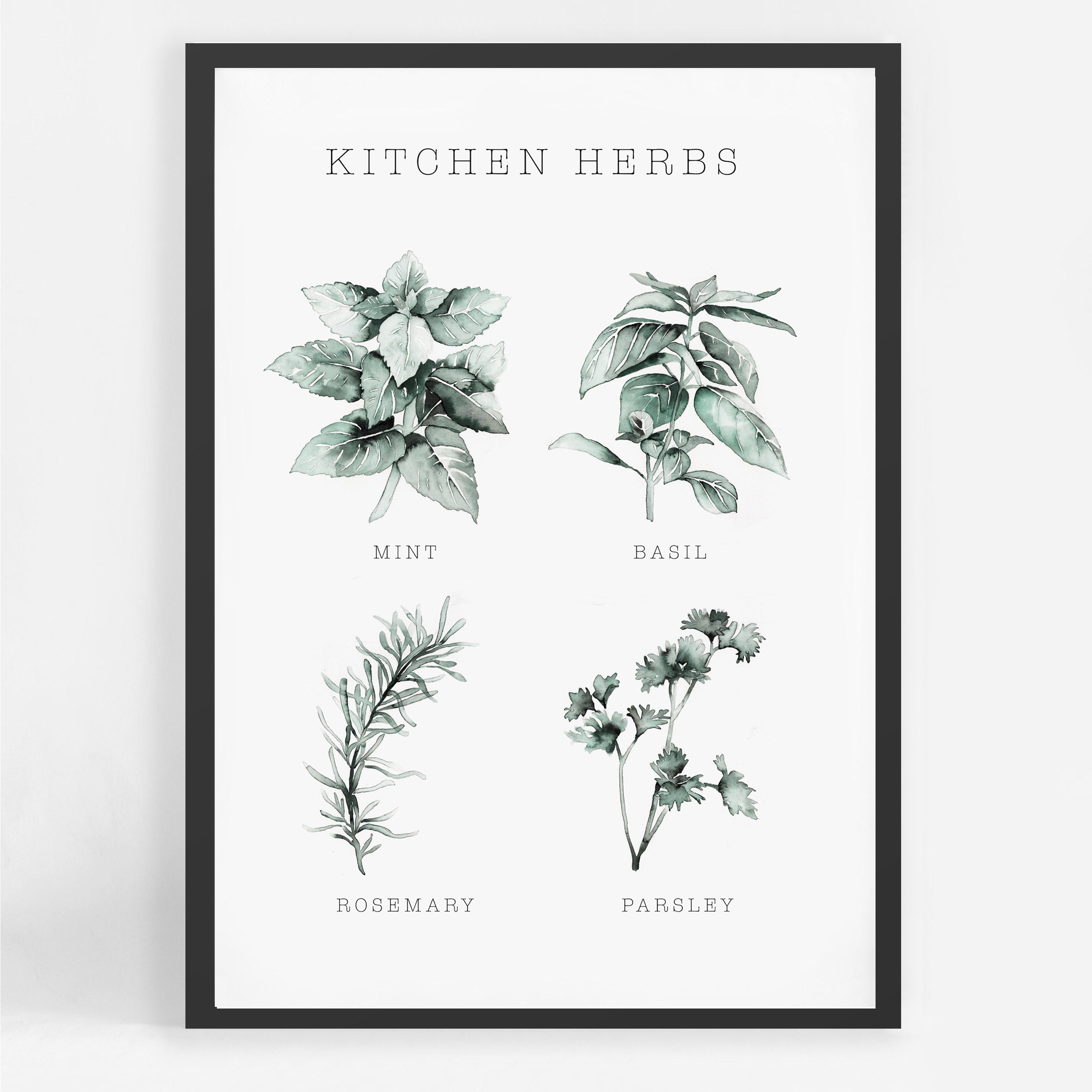 Kitchen Herbs