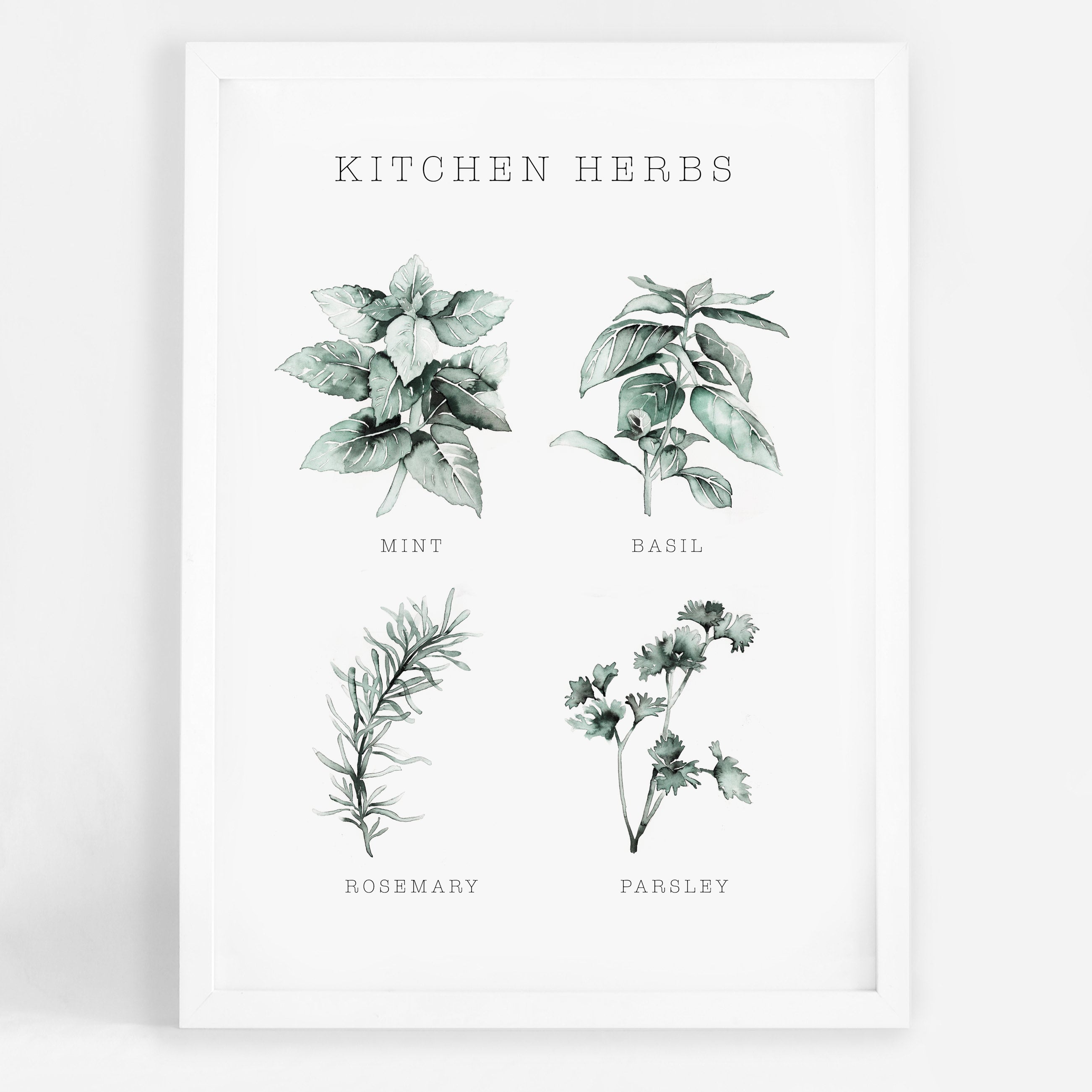 Kitchen Herbs