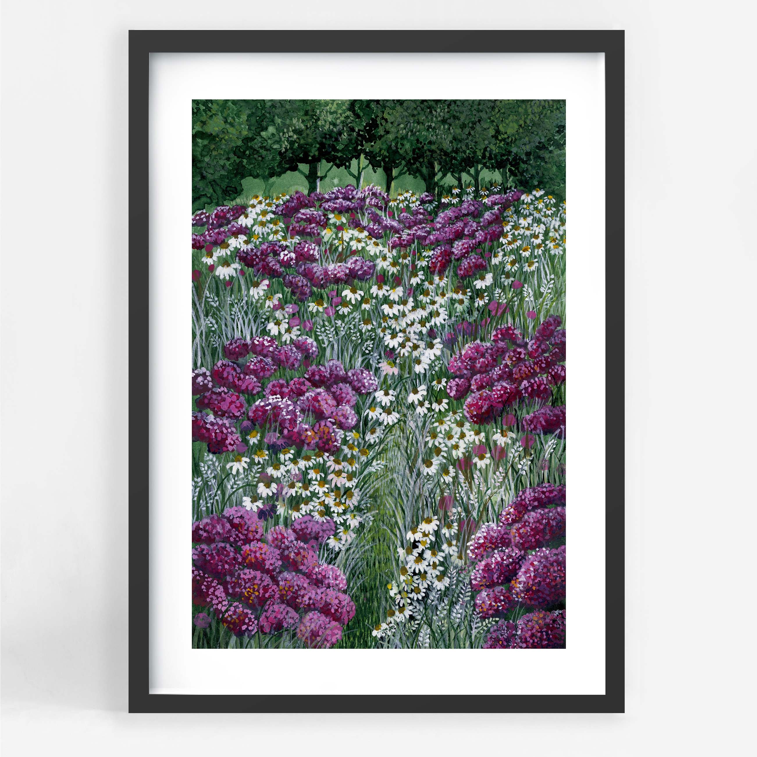 Hydrangea Field