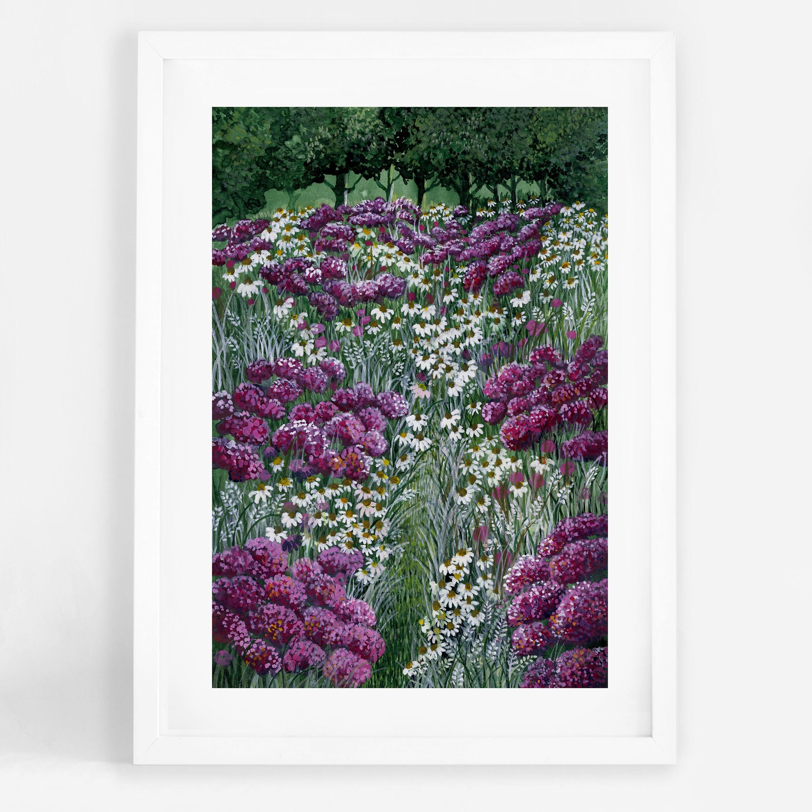Hydrangea Field