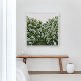 Sage Hydrangea Square - Canvas