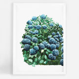 Royal Hydrangeas I