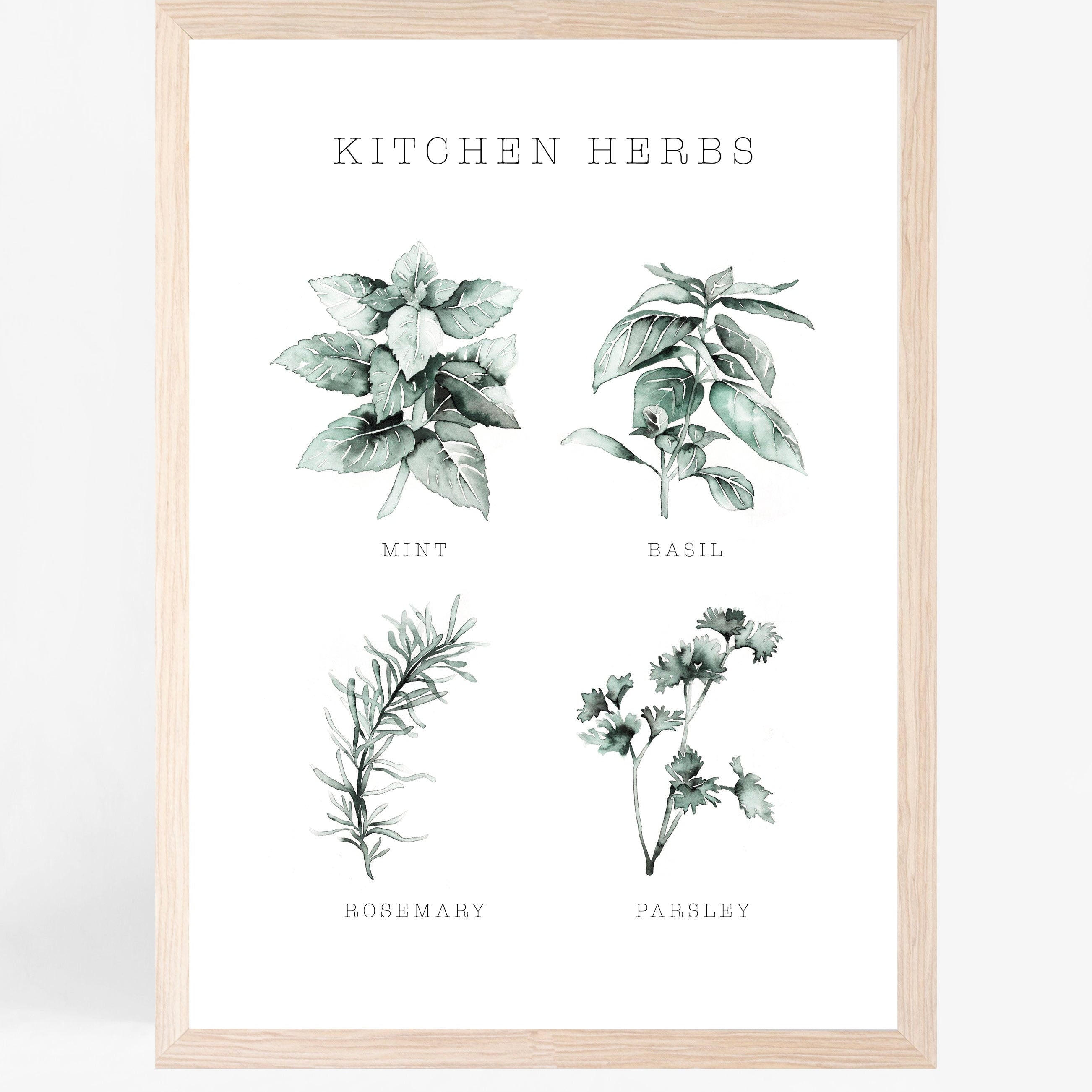 Kitchen Herbs