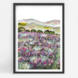 Lavender Fields I