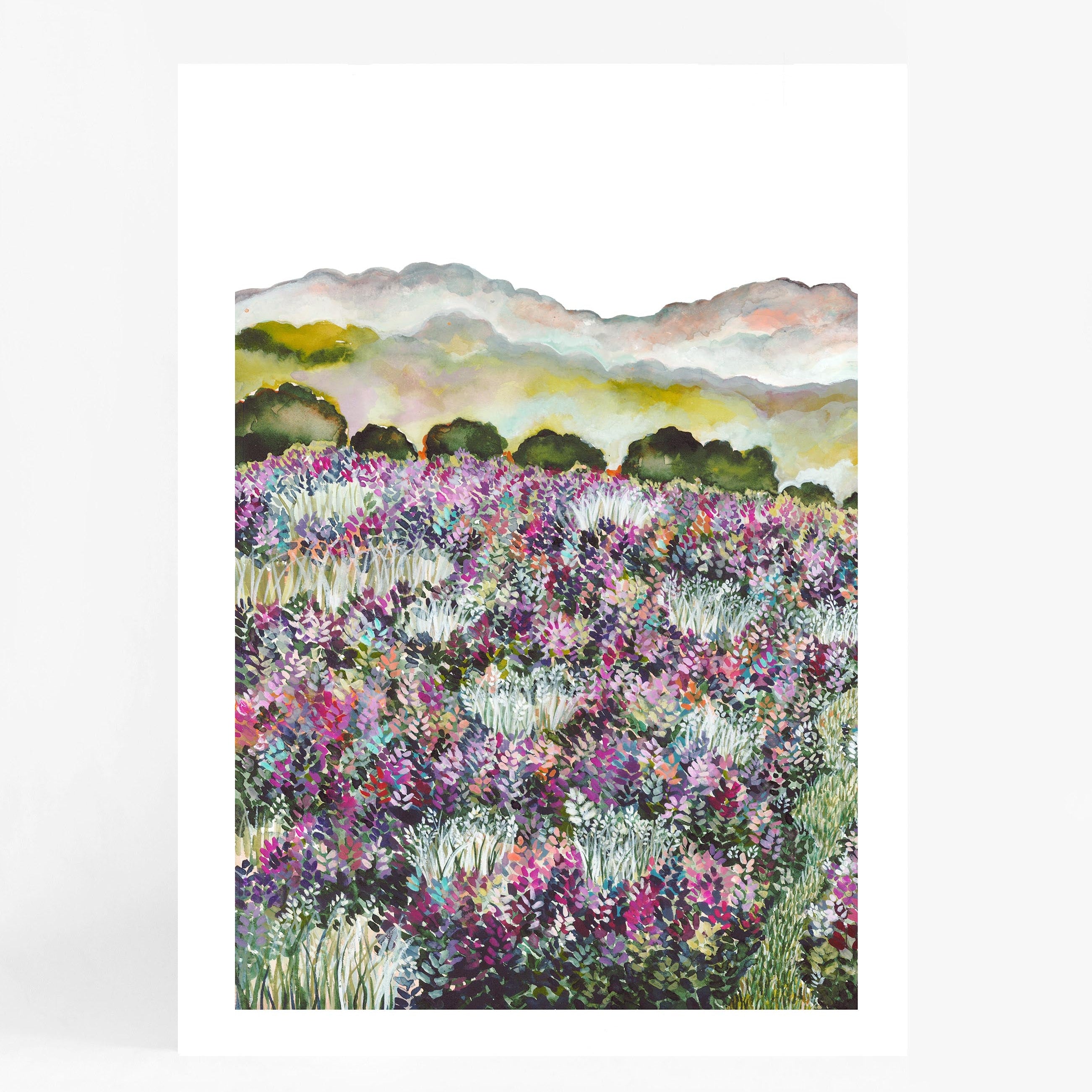 Lavender Fields I