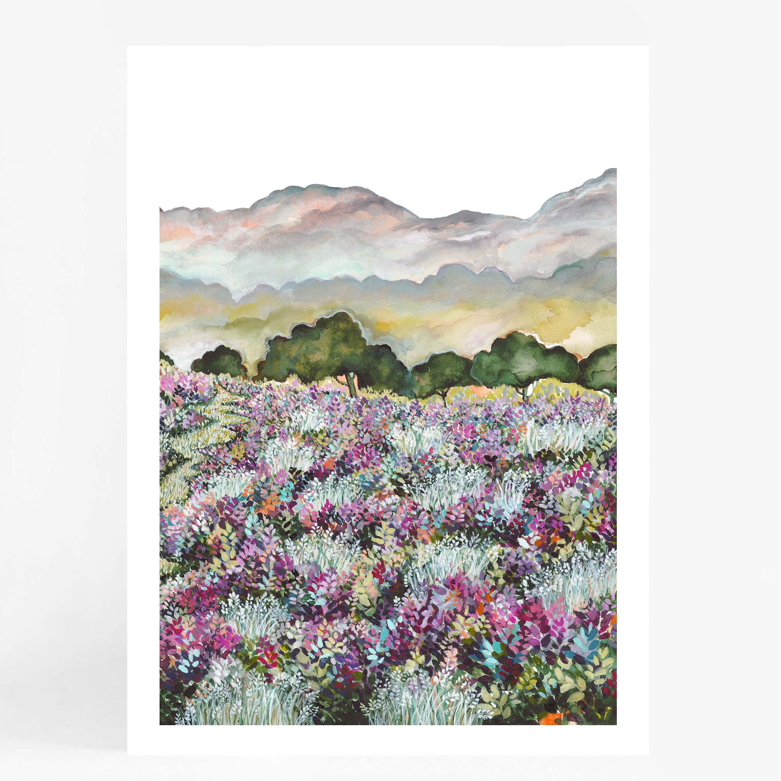 Lavender Fields II