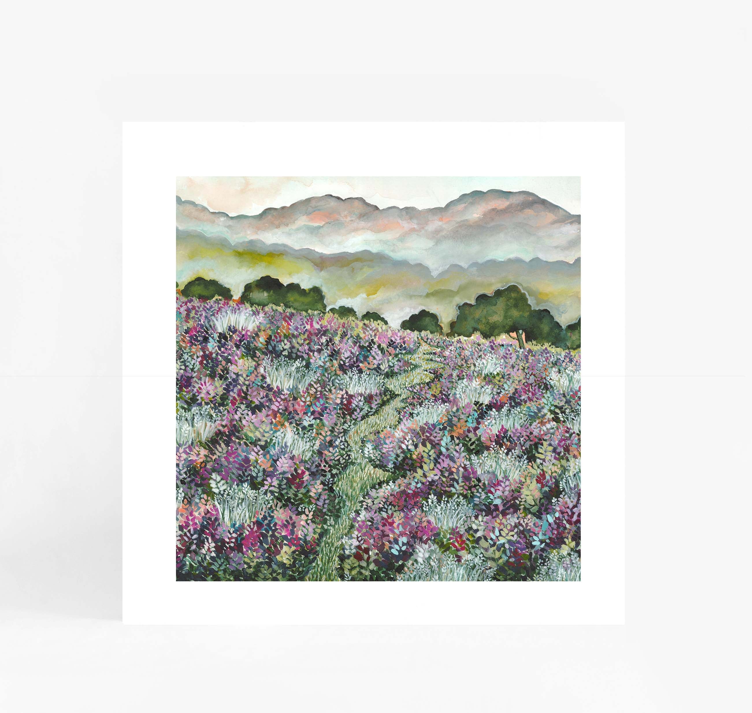 Lavender Fields Square