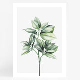 Wall 6