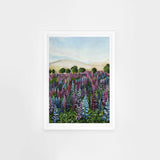 Lupin Fields Pair