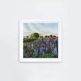 Lupin Fields Square