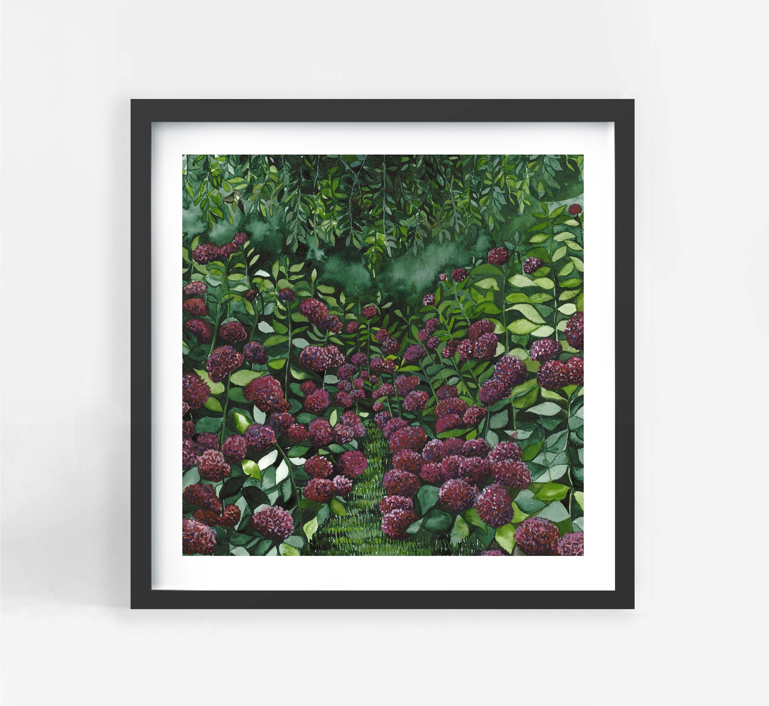 Magenta Hydrangea Square