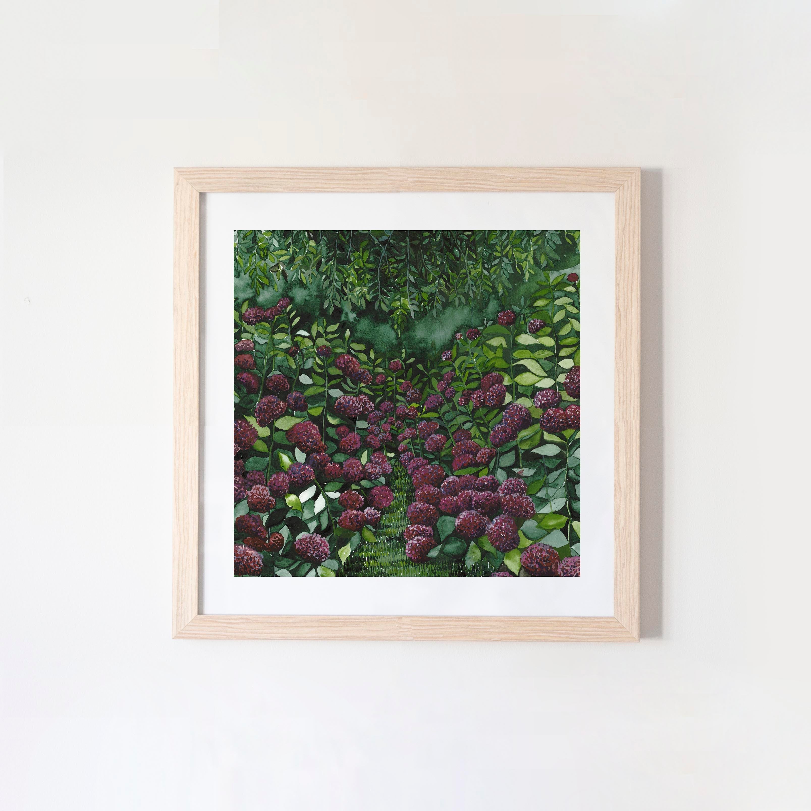 Magenta Hydrangea Square