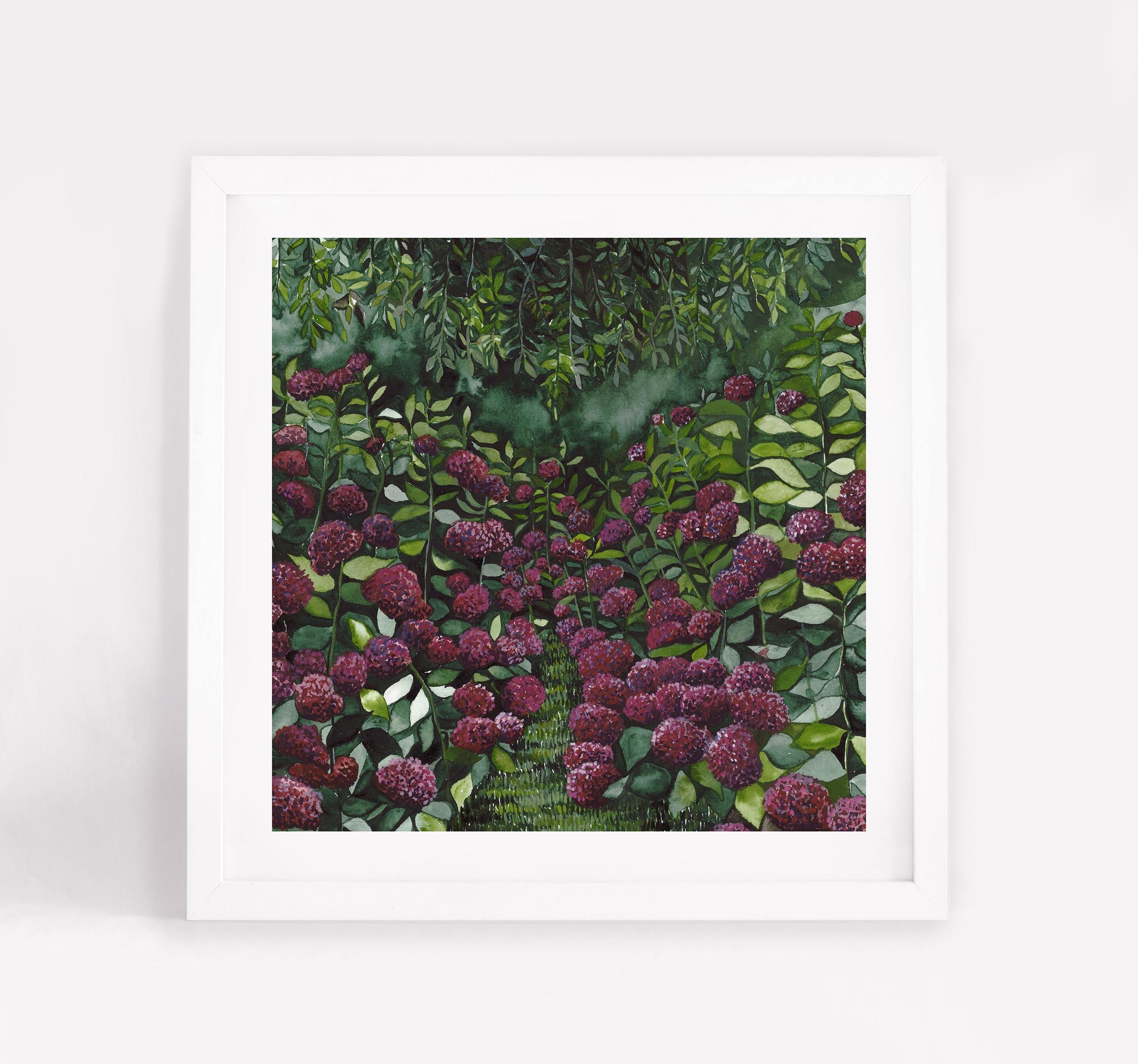Magenta Hydrangea Square