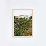 Mustard Field II