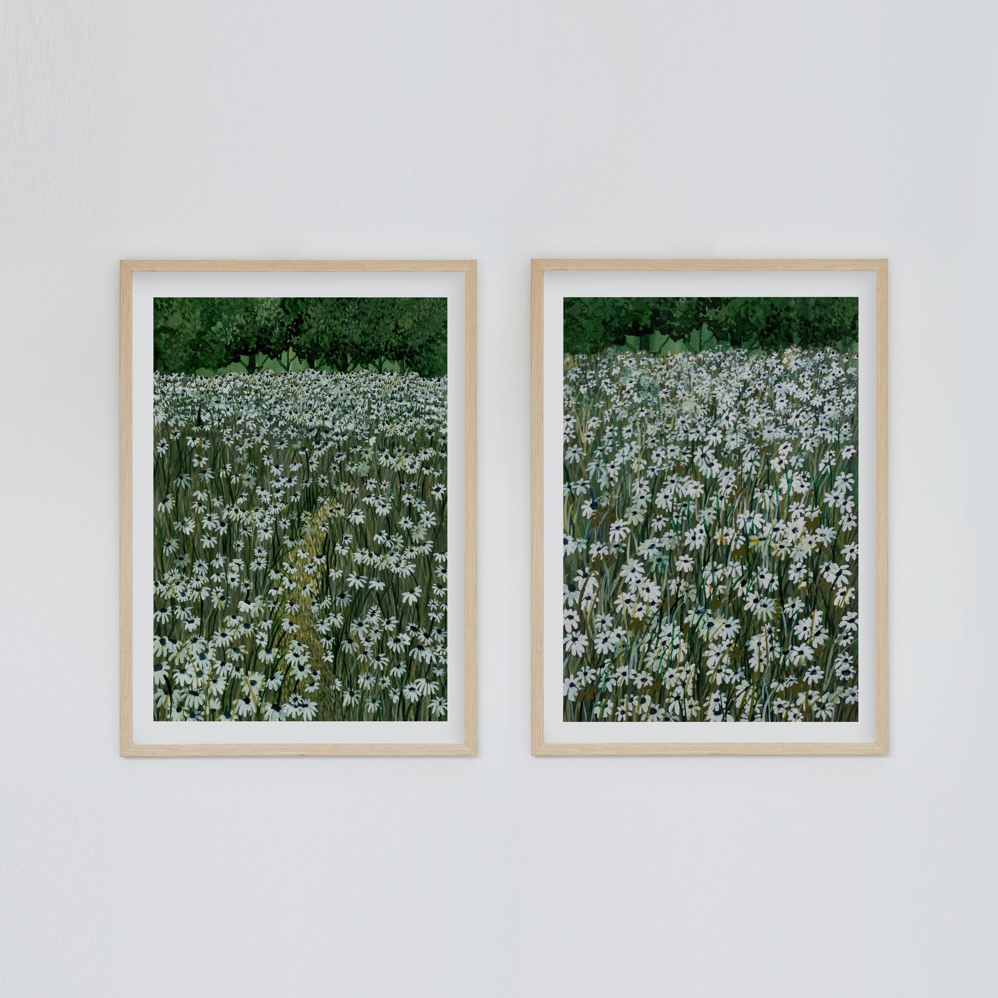 Daisy Meadow Pair